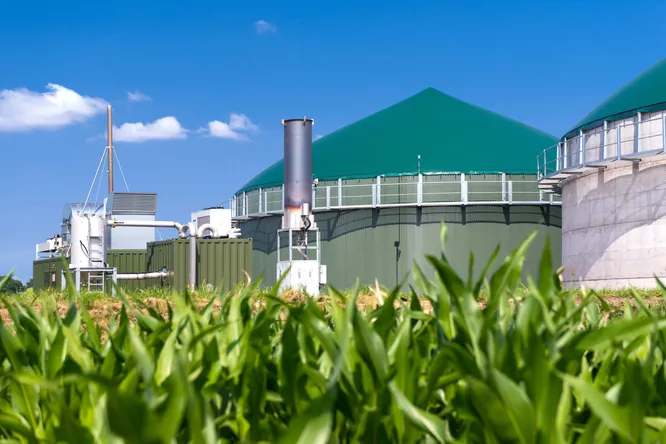 Biogasanlage zur Produktion von Industriegas